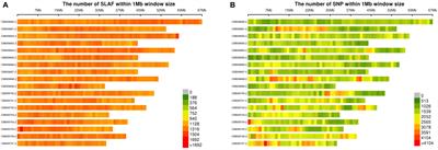 Genetic Divergence and Population Structure in Weedy and Cultivated Broomcorn Millets (Panicum miliaceum L.) Revealed by Specific-Locus Amplified Fragment Sequencing (SLAF-Seq)